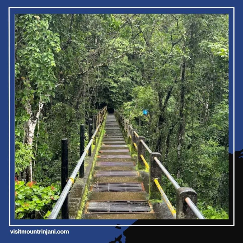 The Beauty of Tiu Kelep Waterfall A Must-Visit Destination at the Foot of Mount Rinjani