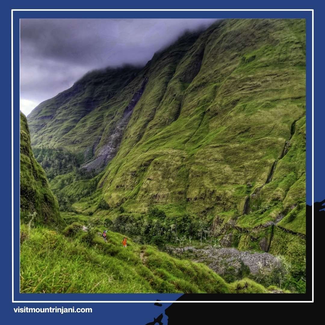 Rinjani Torean Route The Most Exotic and Challenging Trail Sought After by Global Hikers