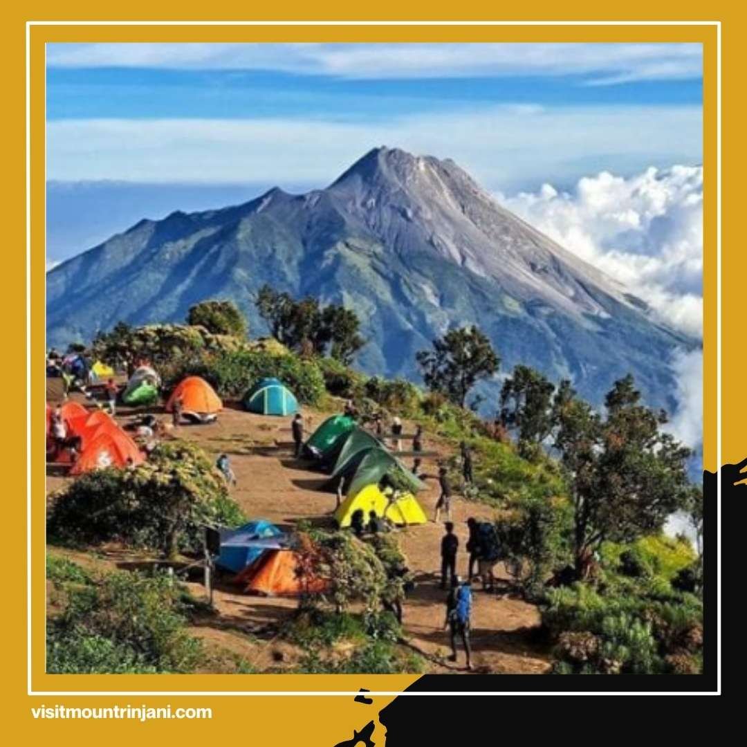 Mt Rinjani Height Bukan Sekadar Angka Ini Fakta yang Membuat Pendaki Dunia Terpukau