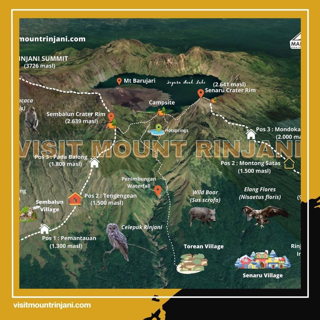 Rinjani Trekking Organizer That Makes Your Mount Rinjani Adventure Truly Unforgettable