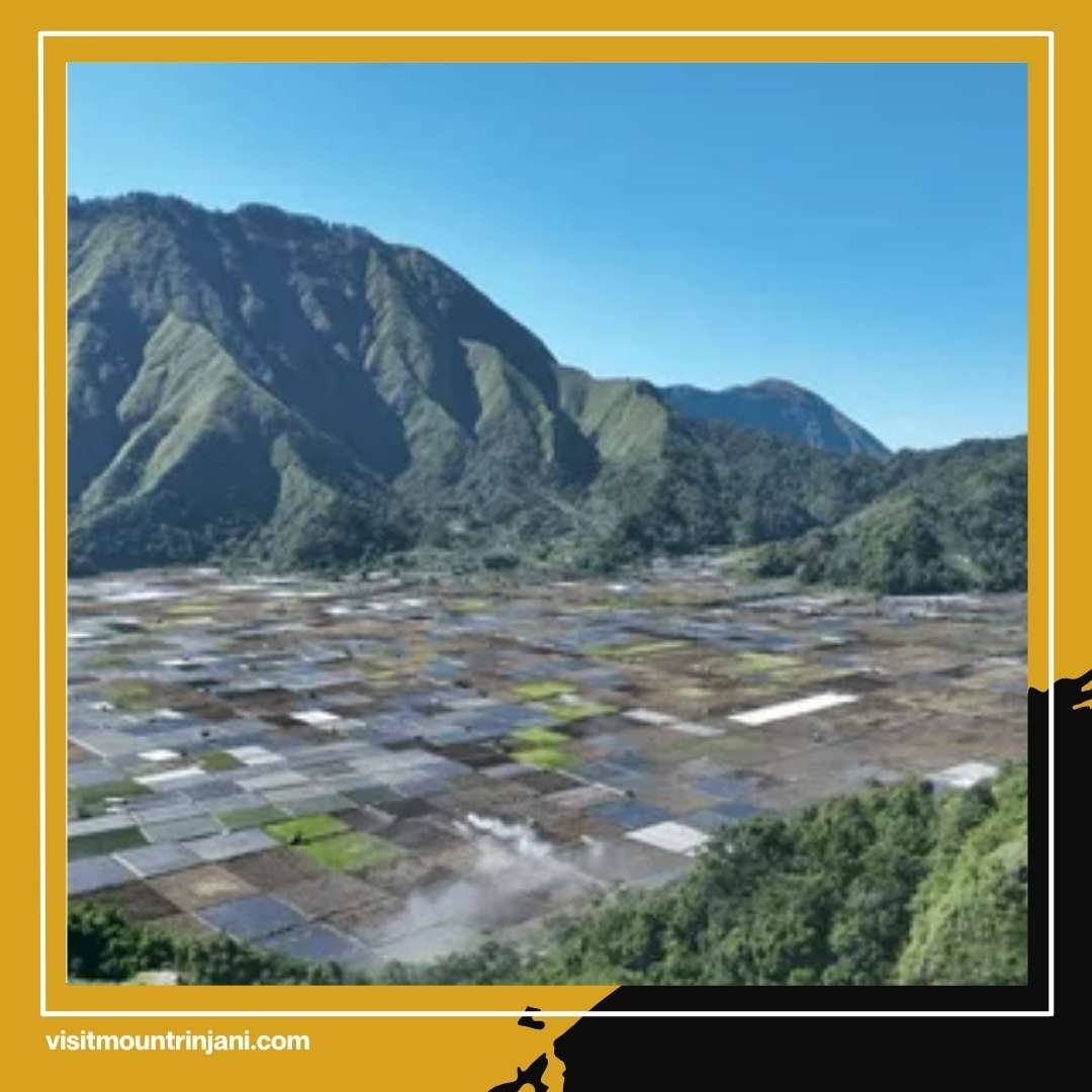 Often Passed by Travelers! 3 Secret Spots in Sembalun Lombok with Fantasy Movie Vibes