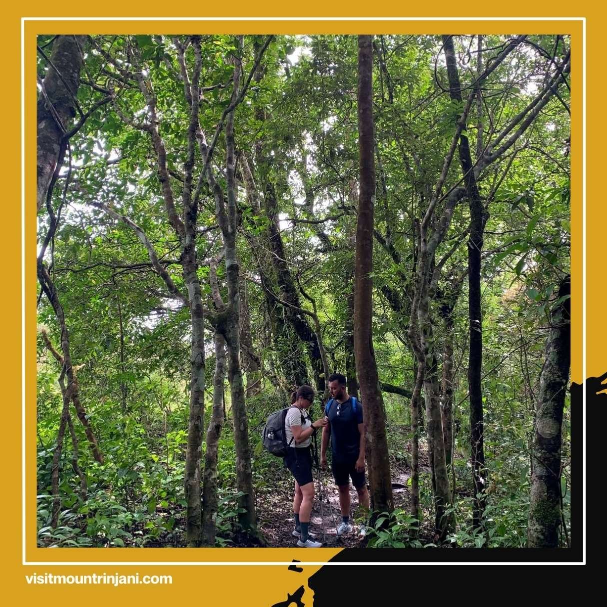 Apakah Gunung Rinjani Masih Aktif Ini Fakta Mengejutkan yang Wajib Kamu Tahu Sebelum Mendaki