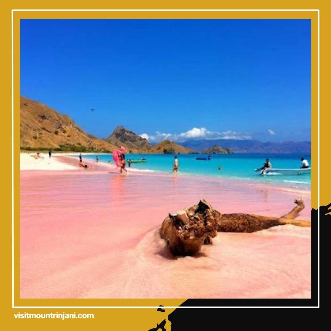 Lombok to Flores Boat Trip Secrets That Will Make You Book Instantly