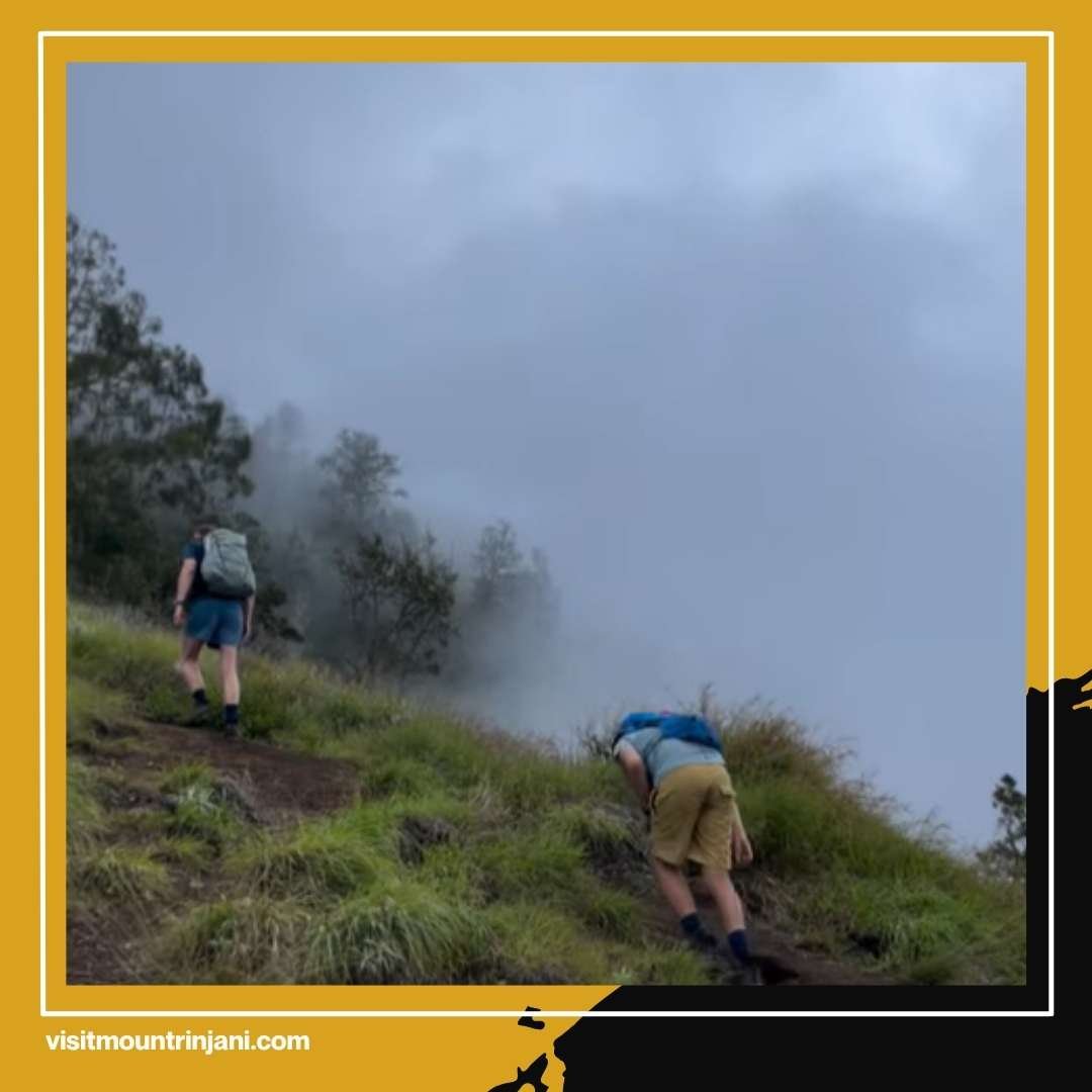 Panduan Lengkap Mendaki Gunung Rinjani untuk Pemula Agar Tidak Gagal di Perjalanan Pertama