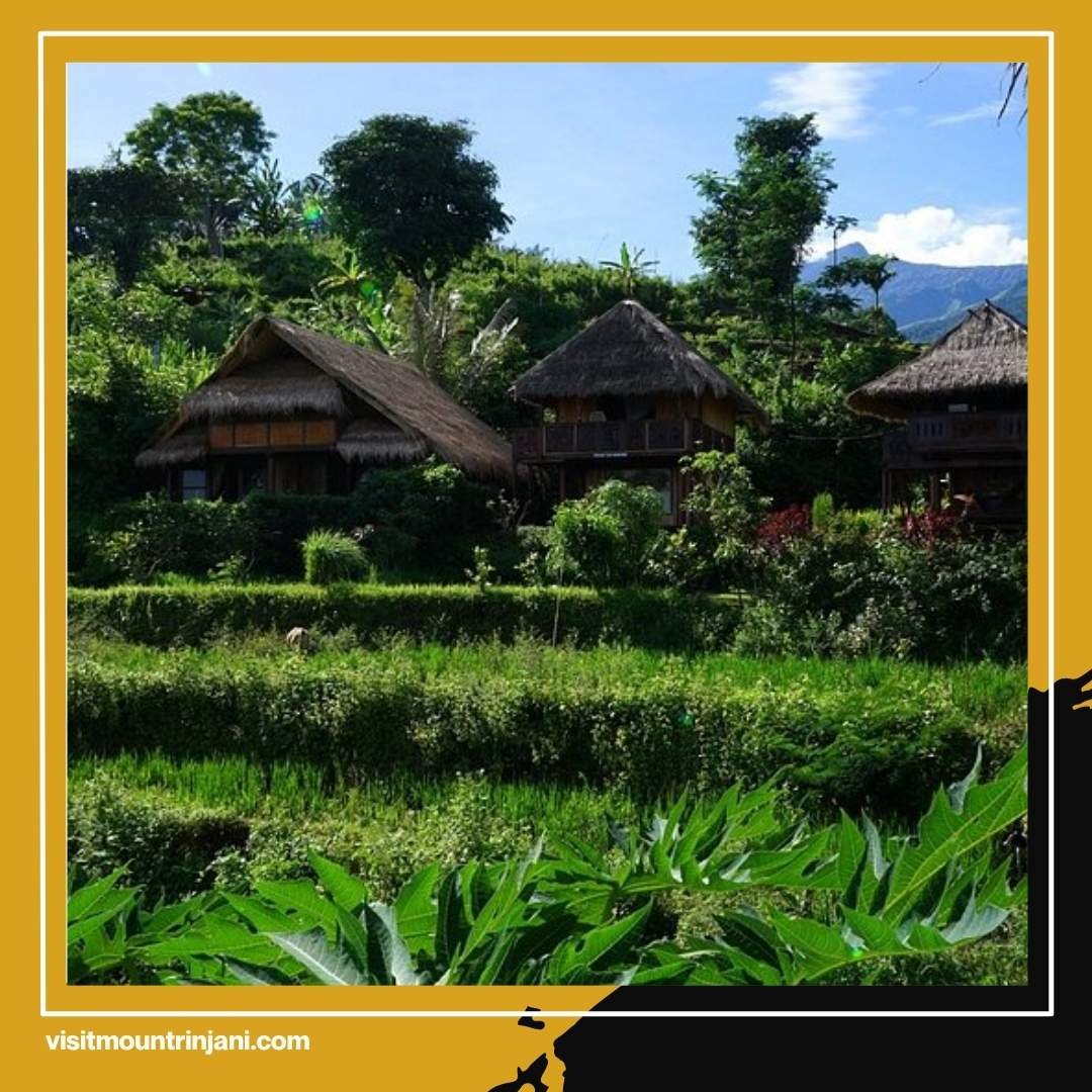 This is the Most Instagrammable Senaru Rinjani Accommodation, Get Your Phone Memory Ready!