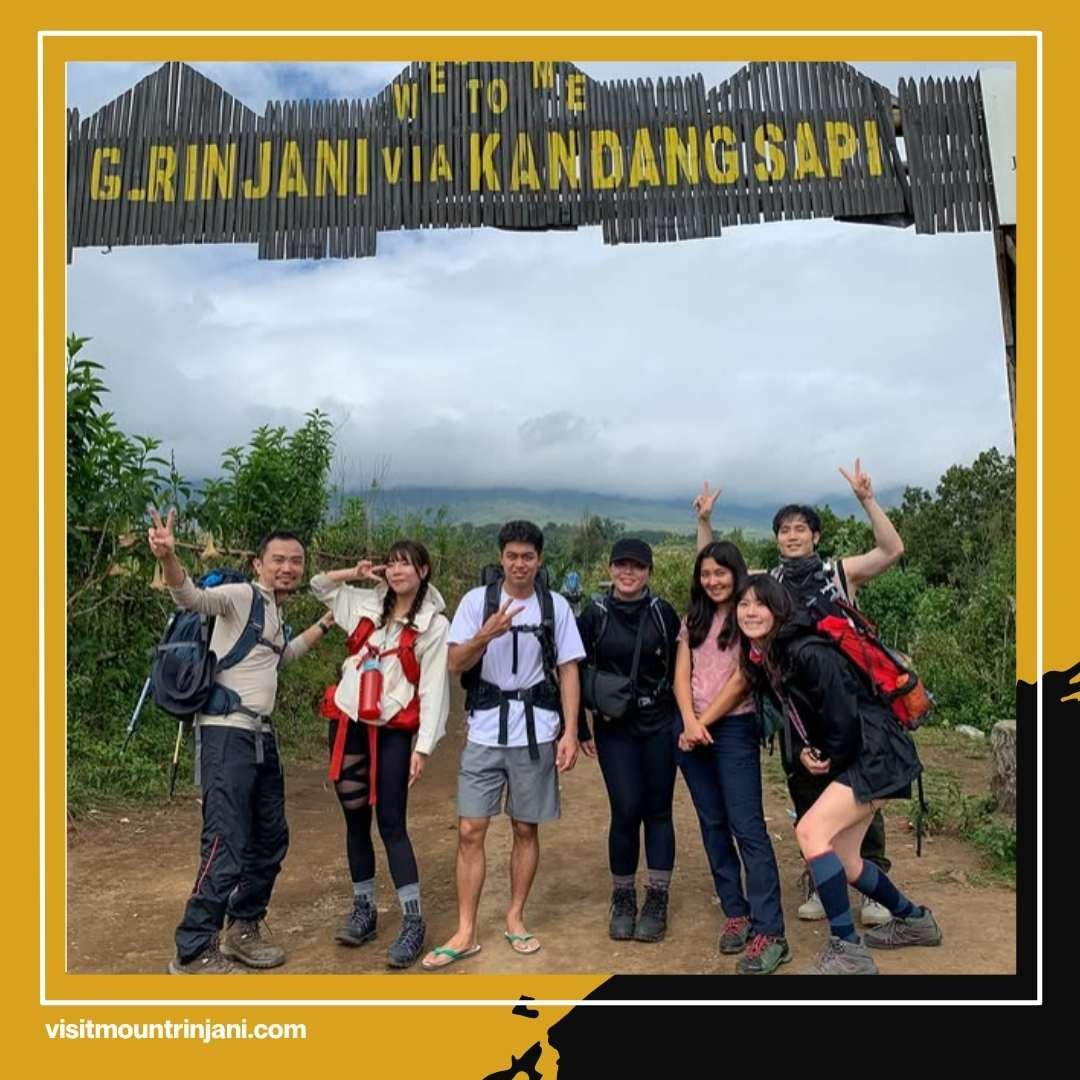 Want To Climb Rinjani Without The Hassle Here Are The Best Rinjani Trekking Companies To Take Care Of Everything!