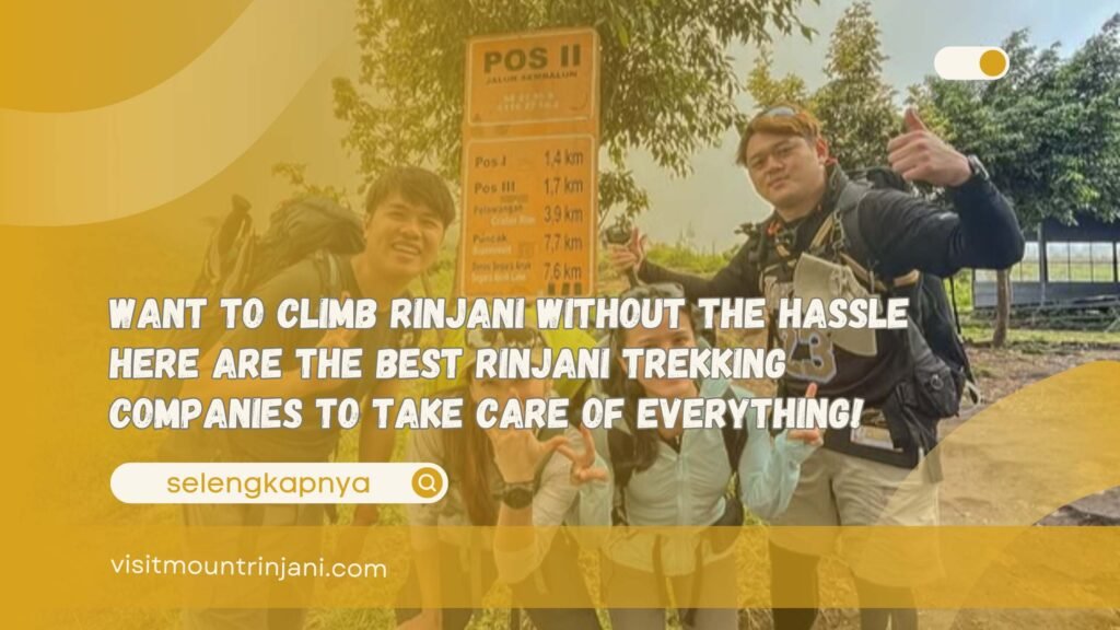 Want To Climb Rinjani Without The Hassle Here Are The Best Rinjani Trekking Companies To Take Care Of Everything!