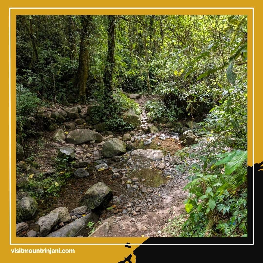 Hate Crowded Trails Why Savvy Travelers Choose Mount Rinjani Trekking Senaru for a Better Experience