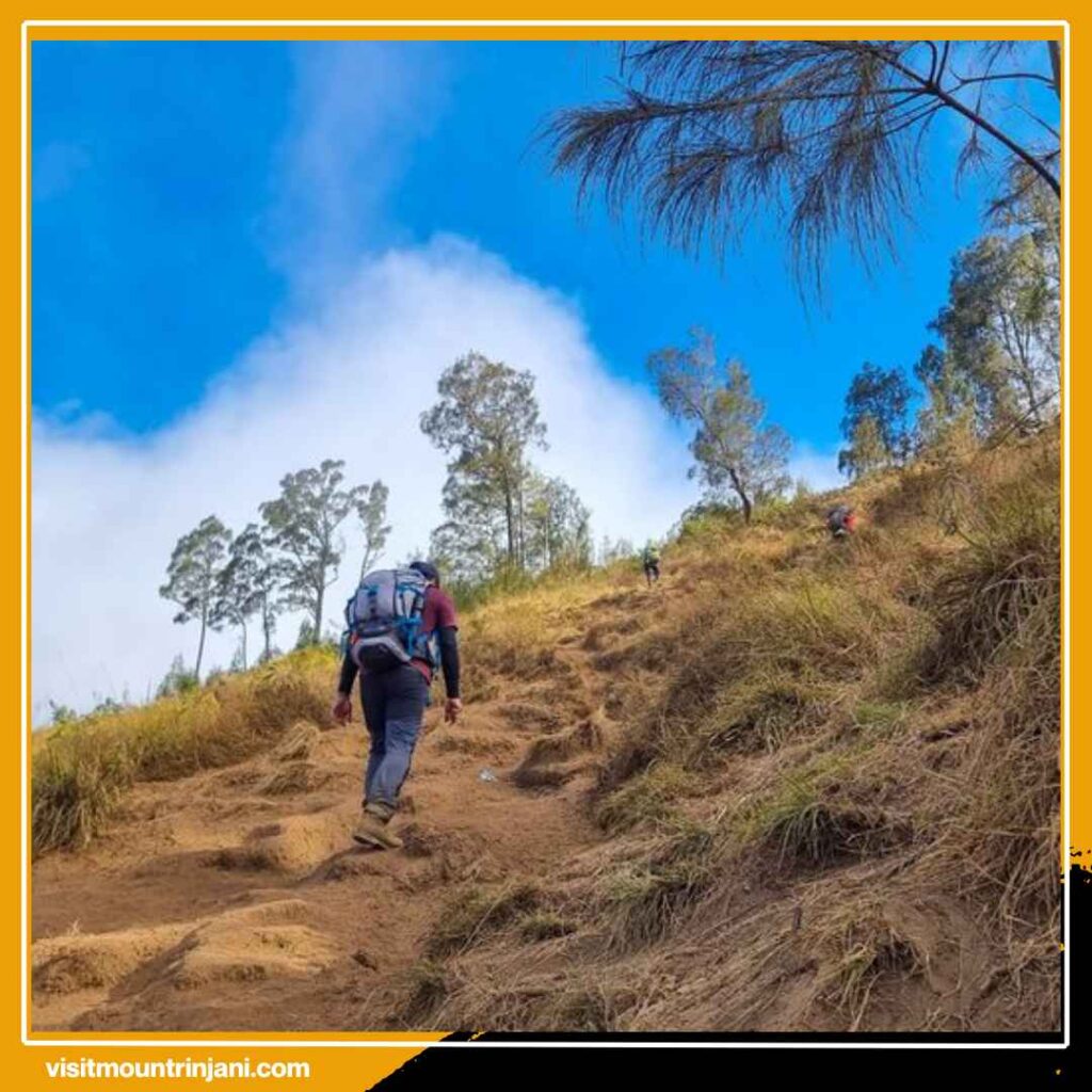 Begini Jawabannya Apakah Rinjani Sulit Didaki Banyak Pendaki Baru Kaget Setelah Tahu Faktanya